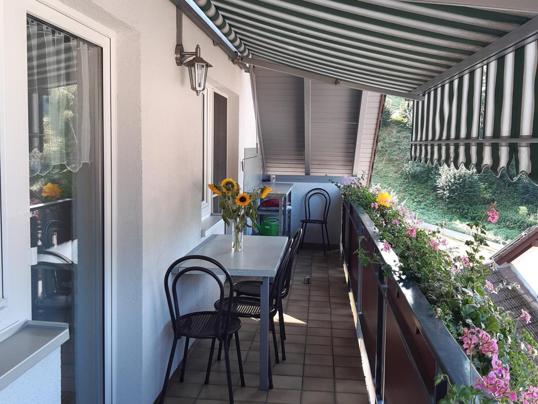 Ferienwohnung Am Geissberg Kleines Wiesental Extérieur photo